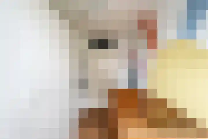Ruimzicht 181 Amsterdam thumbnail 37