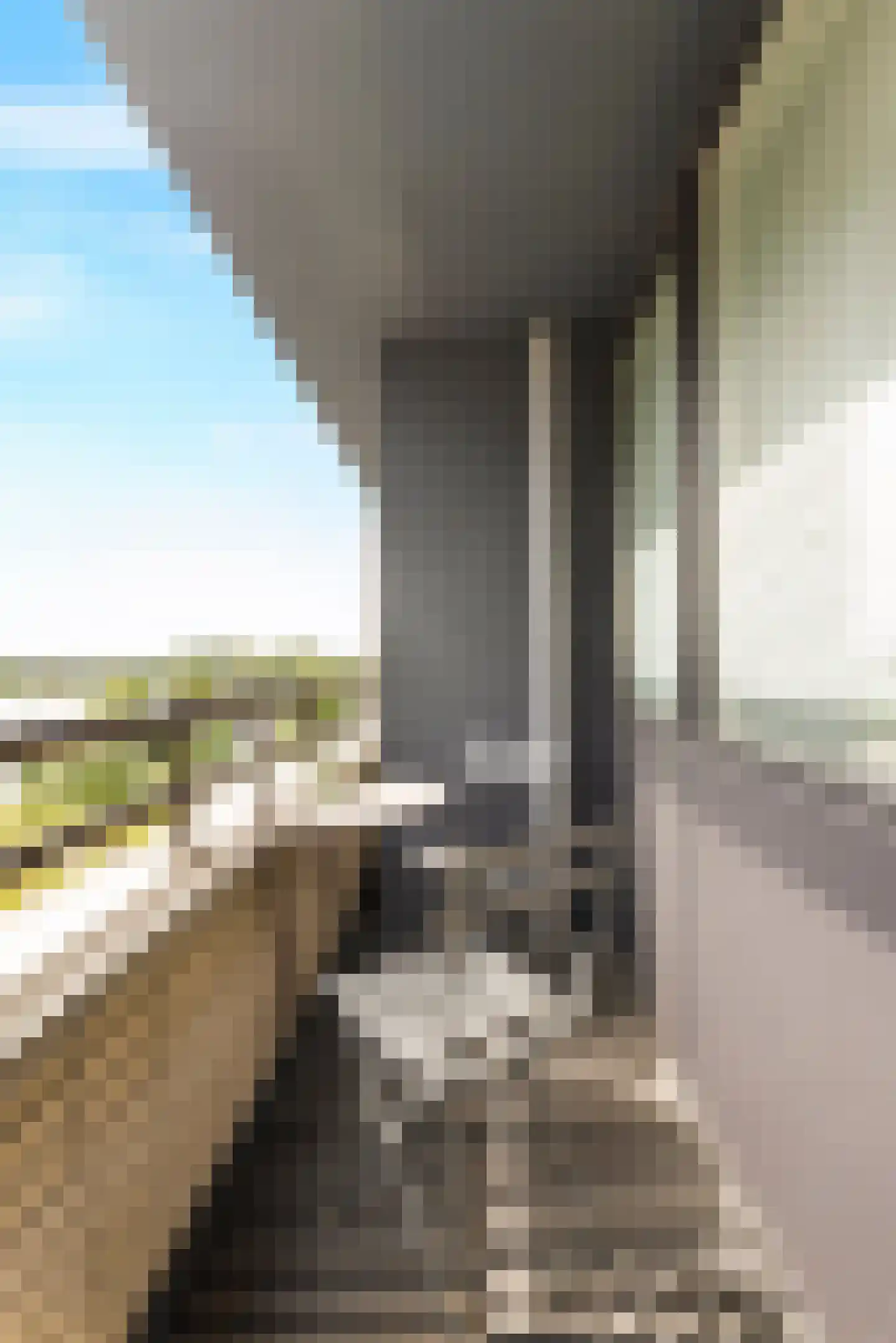 Ruimzicht 191 Amsterdam thumbnail 10