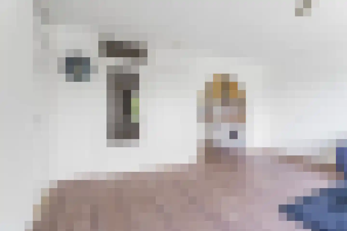 Ruimzicht 191 Amsterdam thumbnail 13