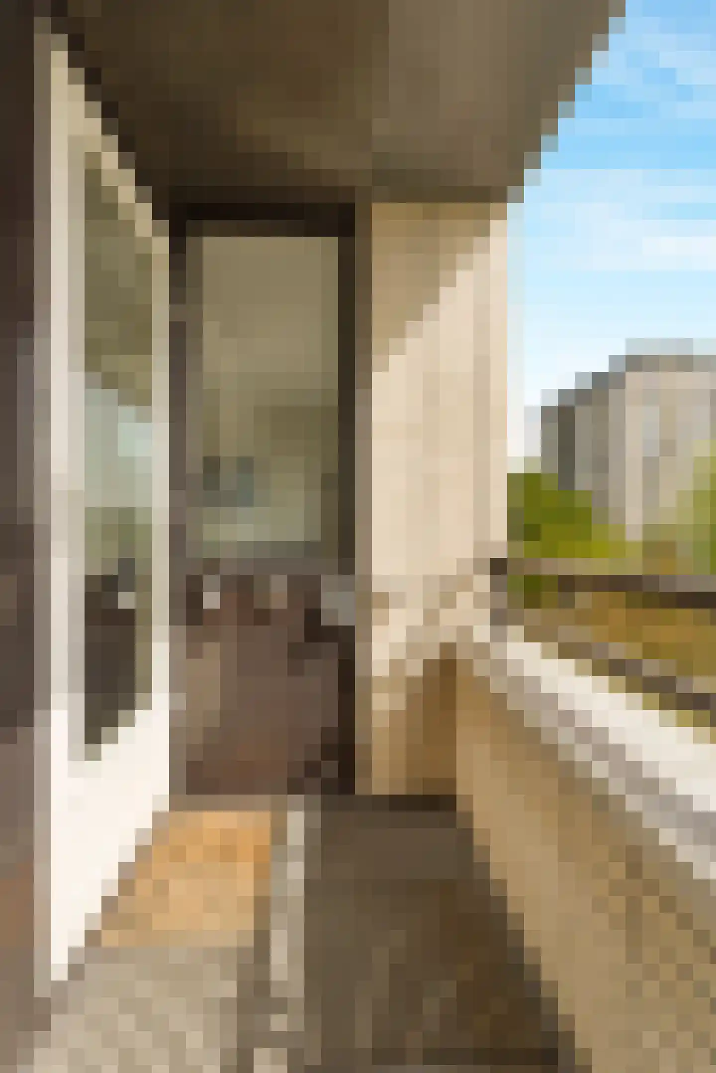 Ruimzicht 191 Amsterdam thumbnail 9