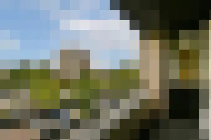Ruimzicht 194 Amsterdam thumbnail 14