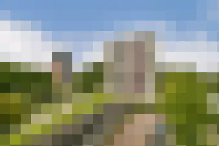 Ruimzicht 194 Amsterdam thumbnail 21