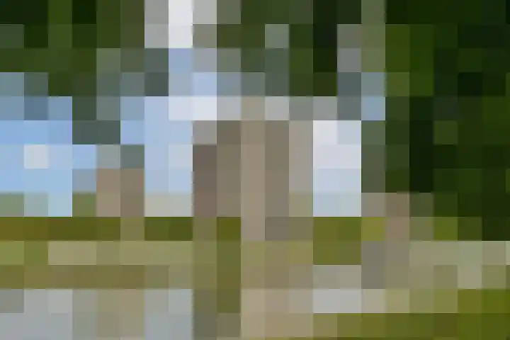 Ruimzicht 194 Amsterdam thumbnail 30