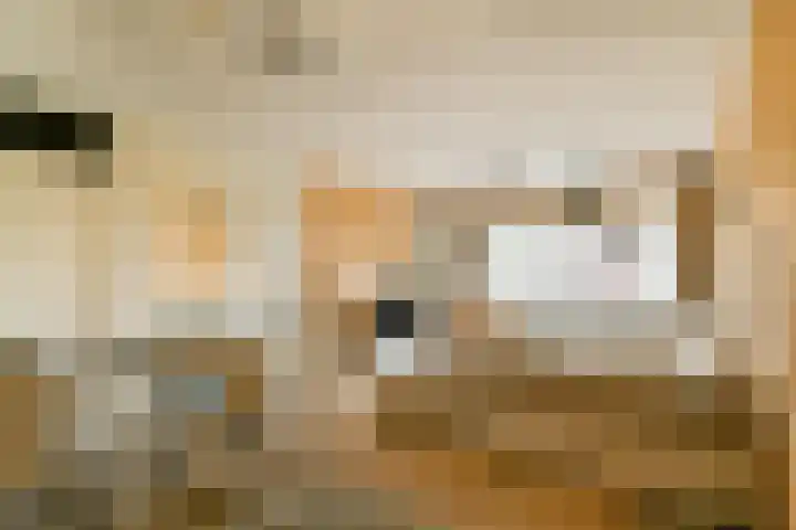Ruimzicht 194 Amsterdam thumbnail 5