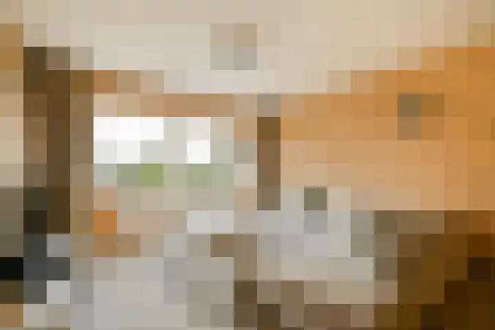 Ruimzicht 194 Amsterdam thumbnail 6
