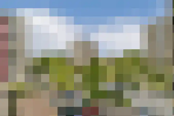 Ruimzicht 194 Amsterdam thumbnail 7