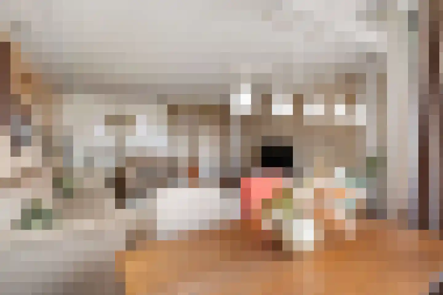 Ruimzicht 201 Amsterdam thumbnail 13