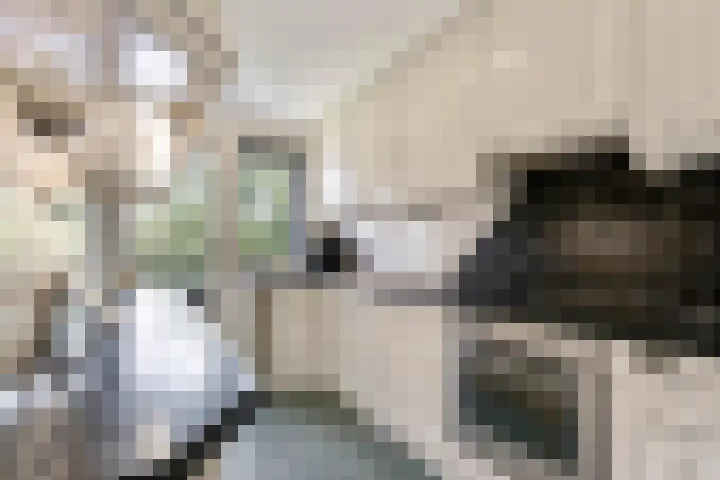 Ruimzicht 201 Amsterdam thumbnail 17