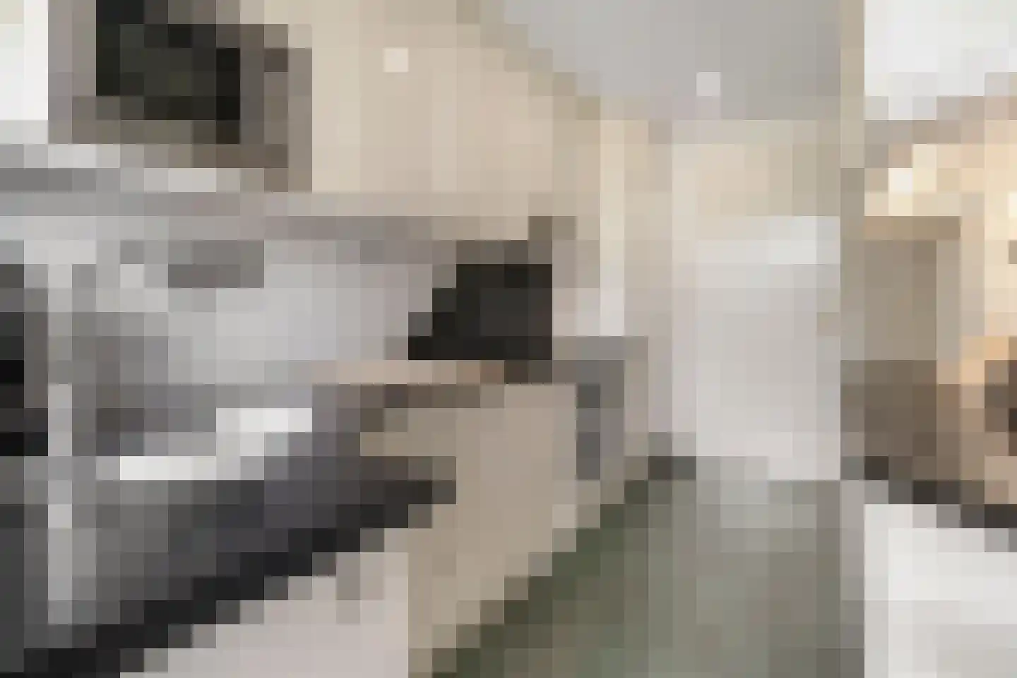 Ruimzicht 201 Amsterdam thumbnail 18