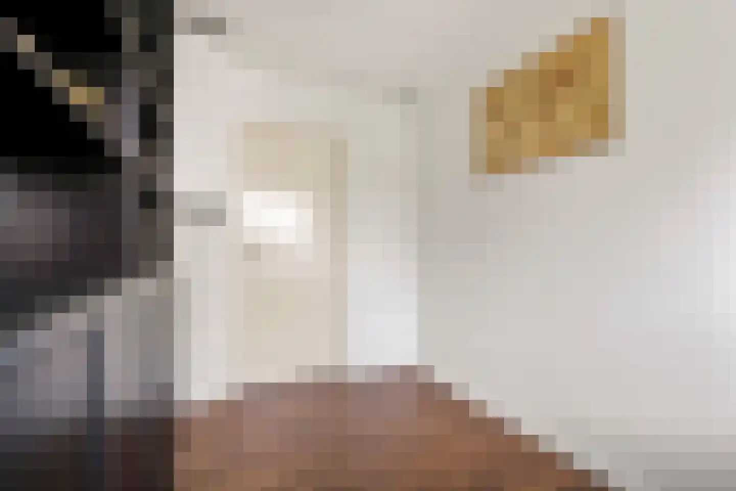 Ruimzicht 201 Amsterdam thumbnail 27