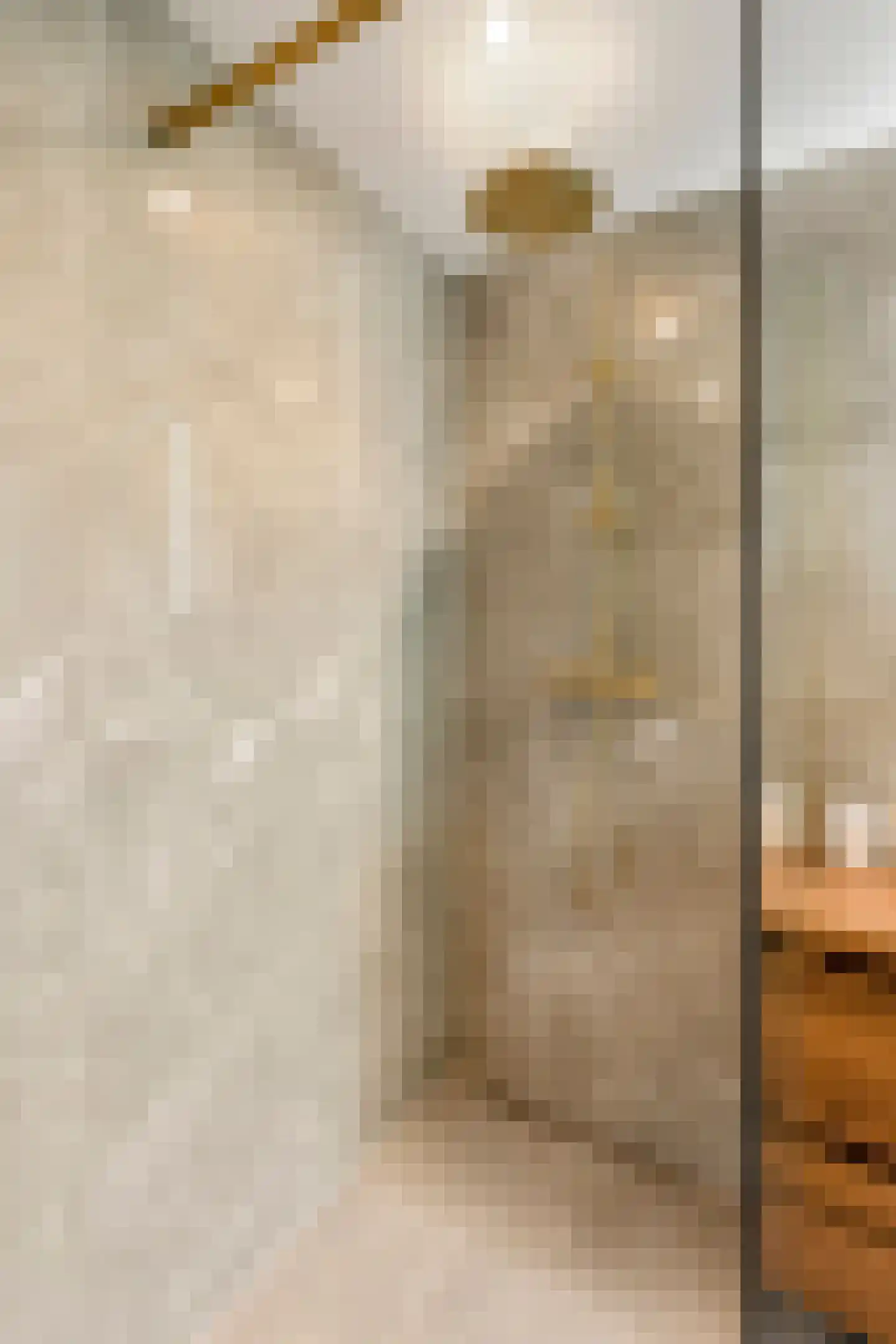 Ruimzicht 201 Amsterdam thumbnail 30