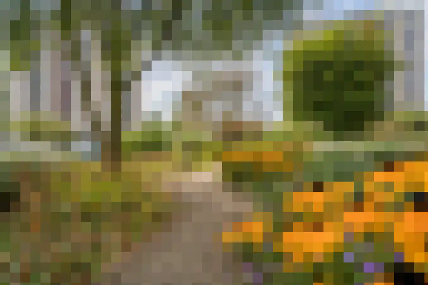 Ruimzicht 201 Amsterdam thumbnail 36
