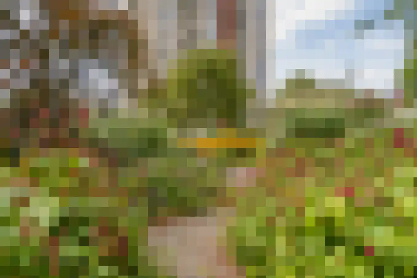 Ruimzicht 201 Amsterdam thumbnail 37