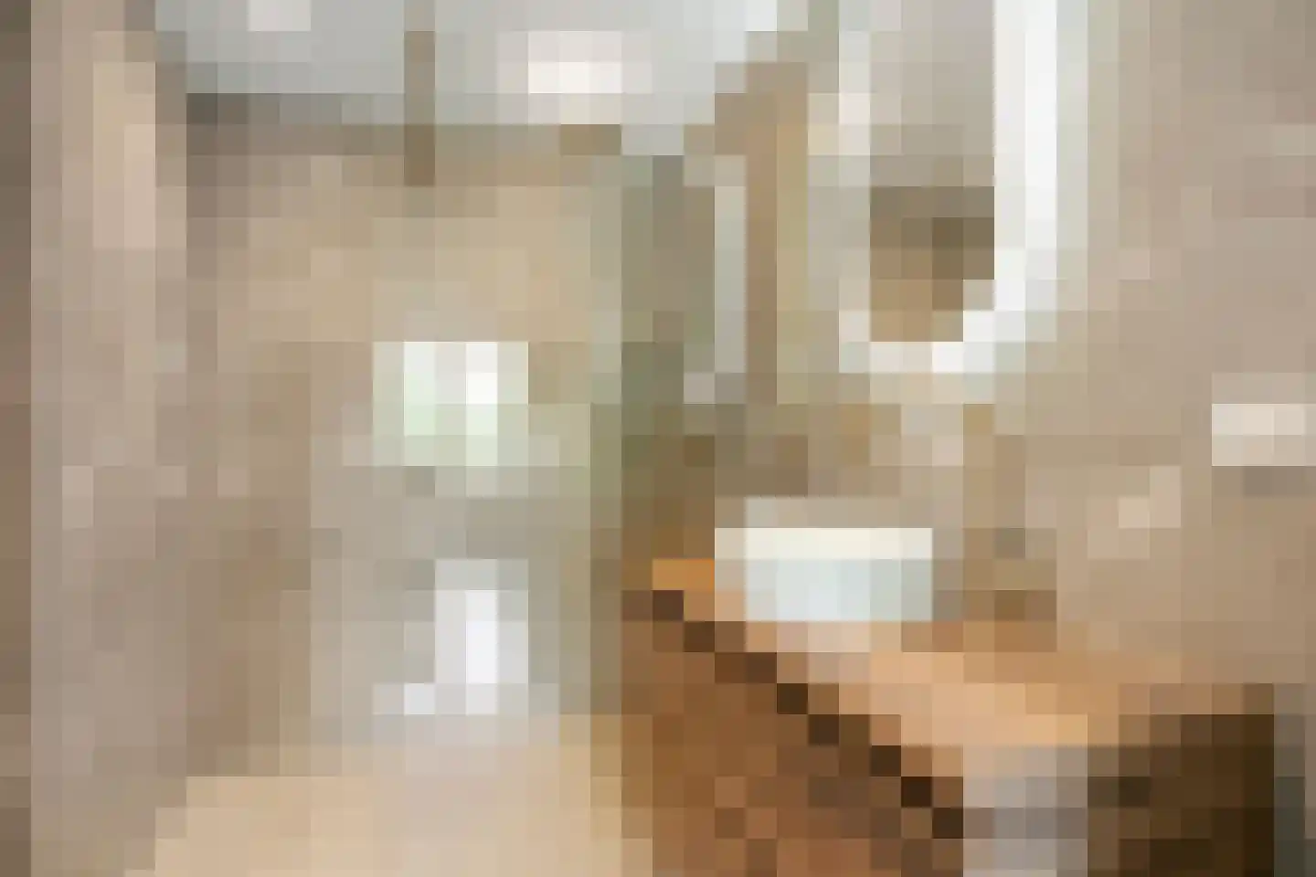 Ruimzicht 201 Amsterdam thumbnail 5