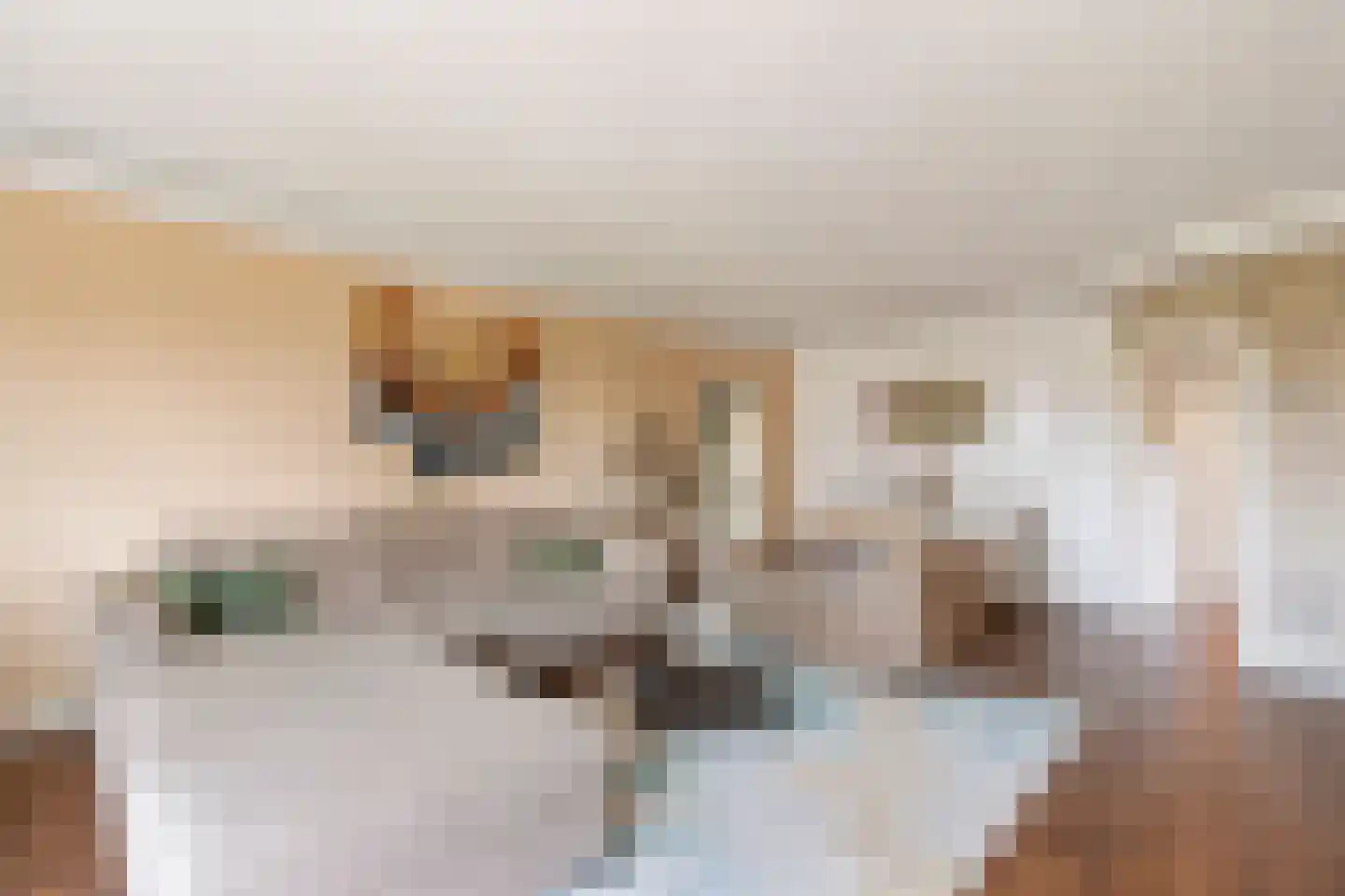 Ruimzicht 201 Amsterdam thumbnail 8