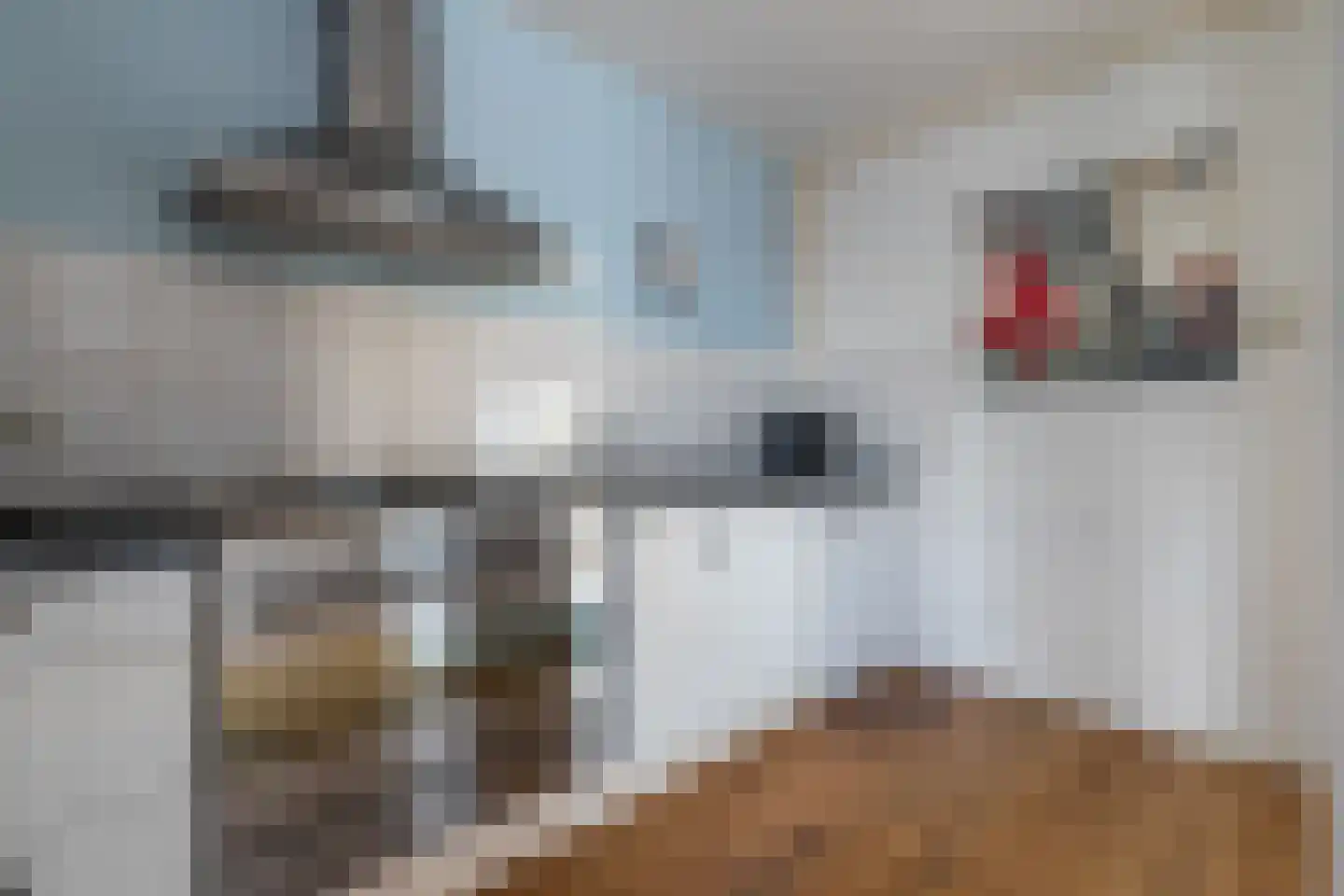 Ruimzicht 219 Amsterdam thumbnail 10