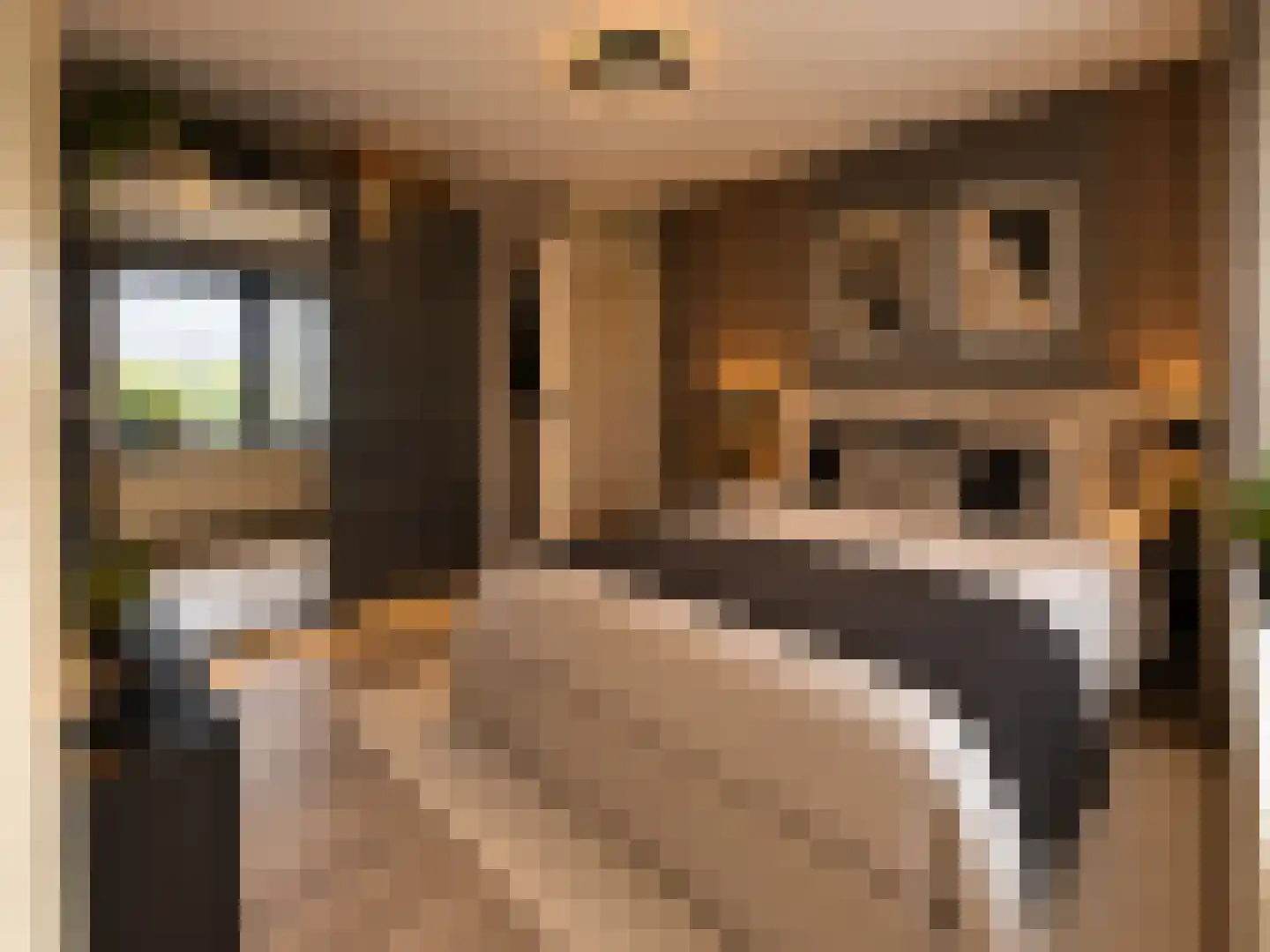 Ruimzicht 219 Amsterdam thumbnail 11
