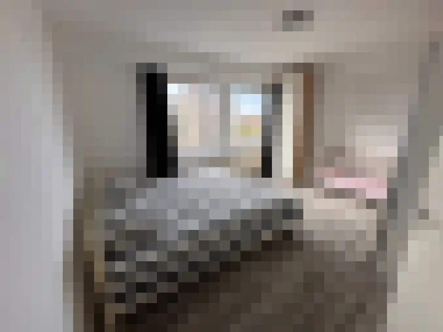Ruimzicht 219 Amsterdam thumbnail 12
