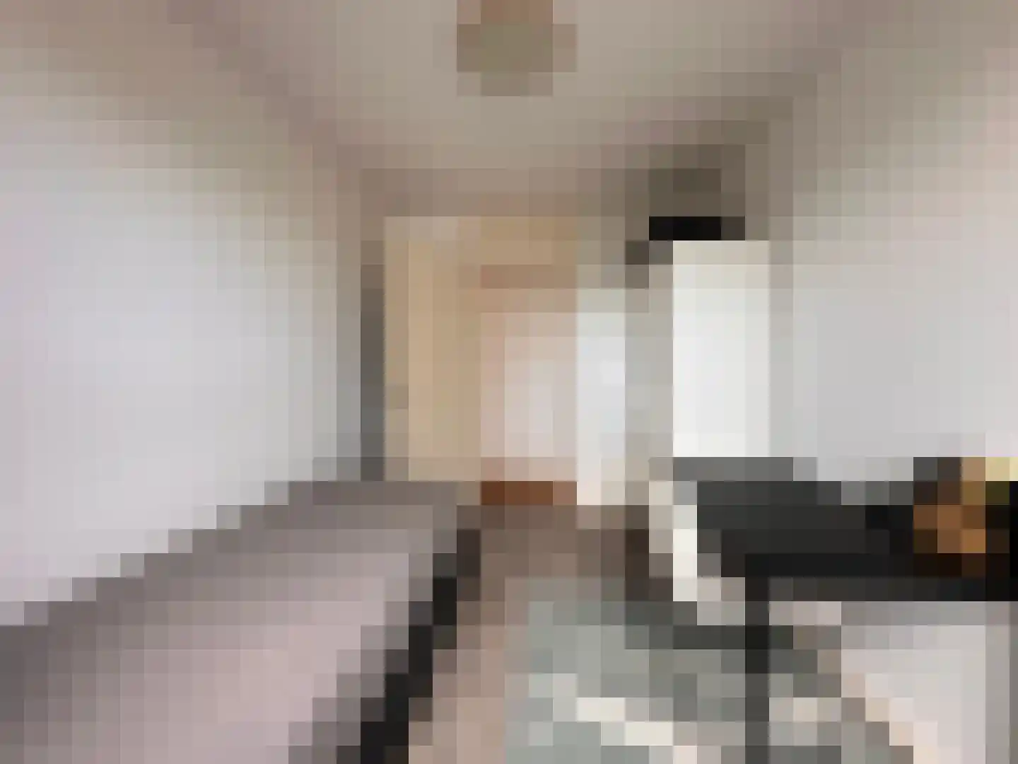 Ruimzicht 219 Amsterdam thumbnail 16