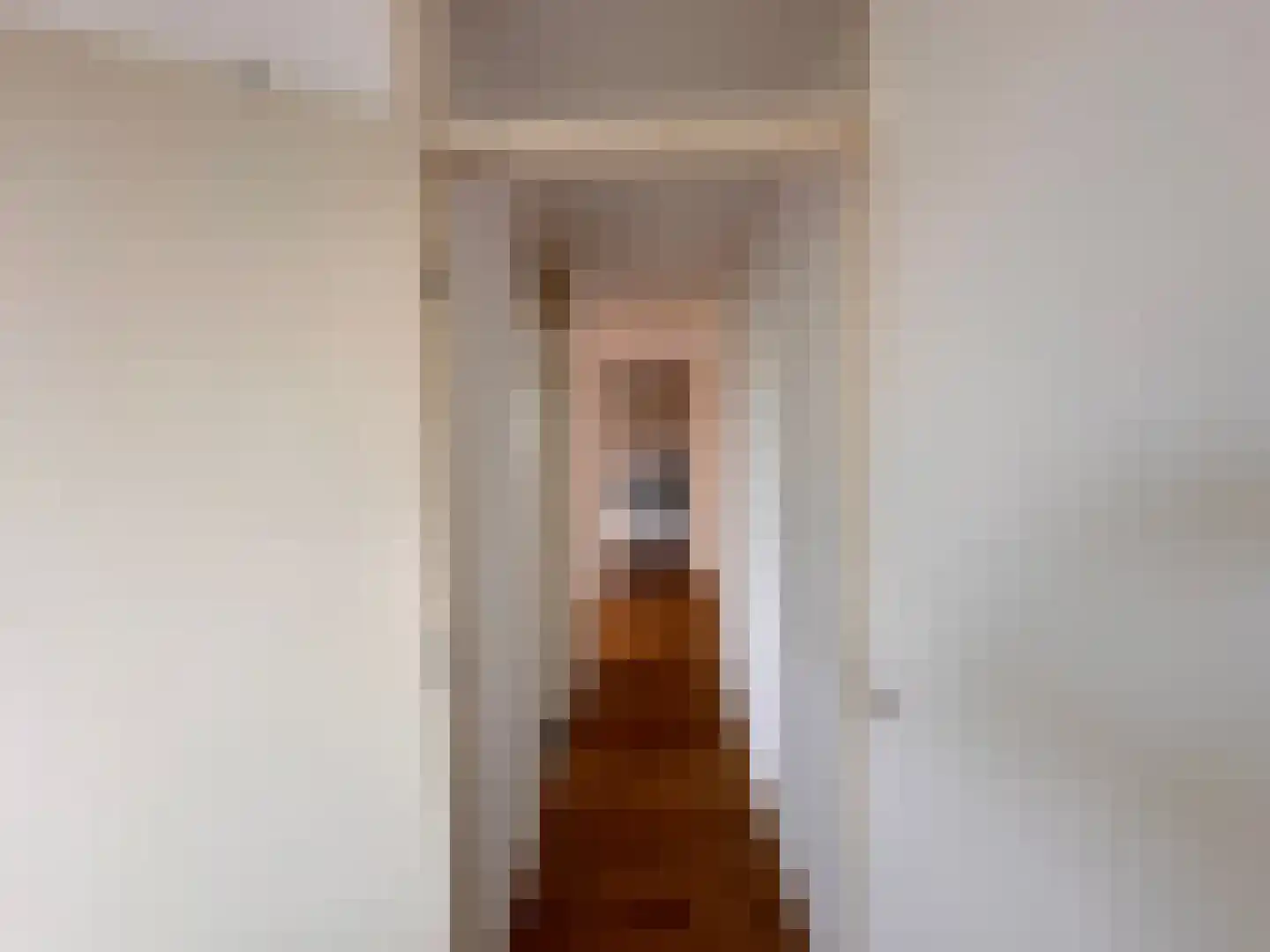 Ruimzicht 219 Amsterdam thumbnail 17