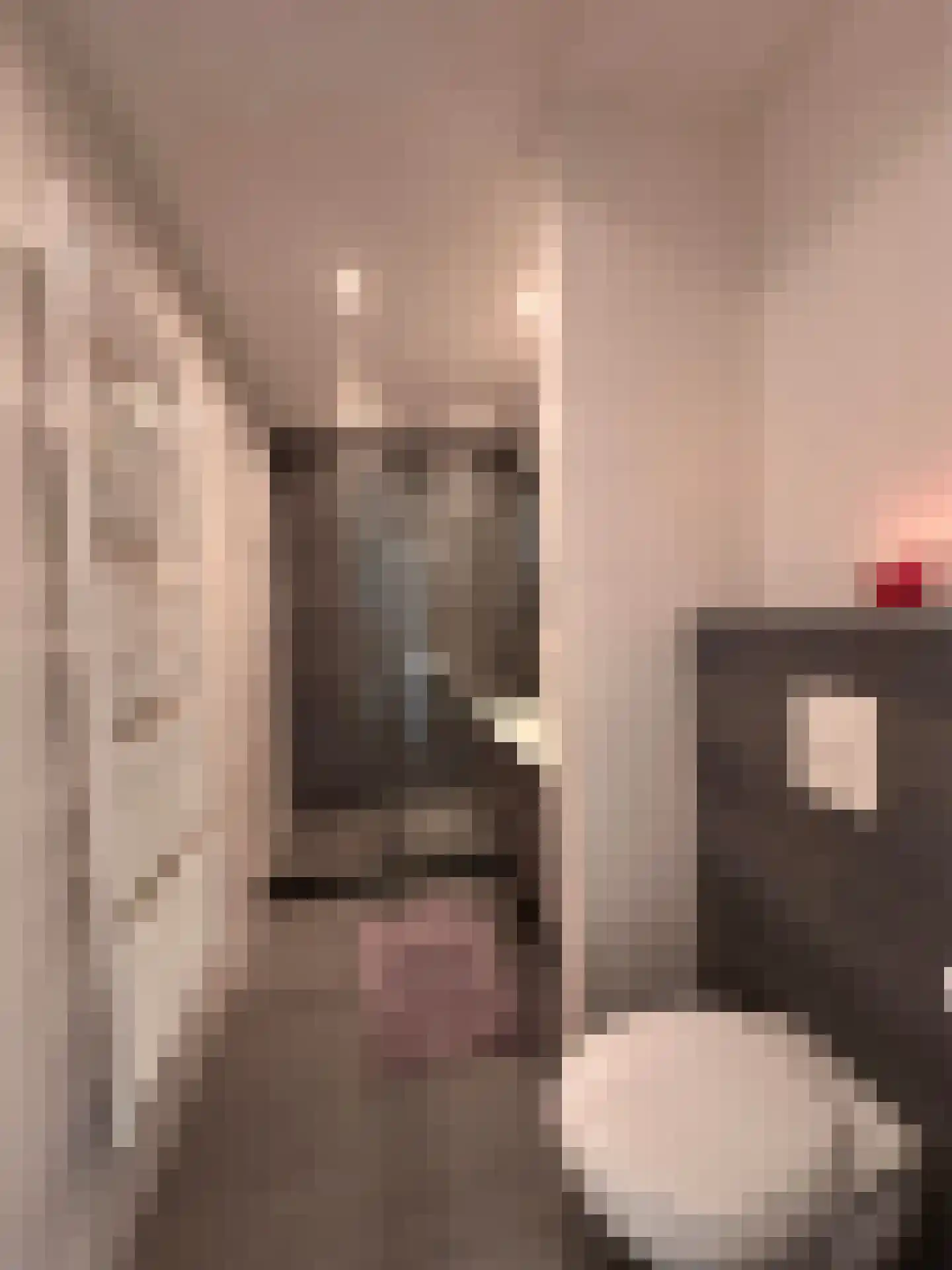 Ruimzicht 219 Amsterdam thumbnail 19