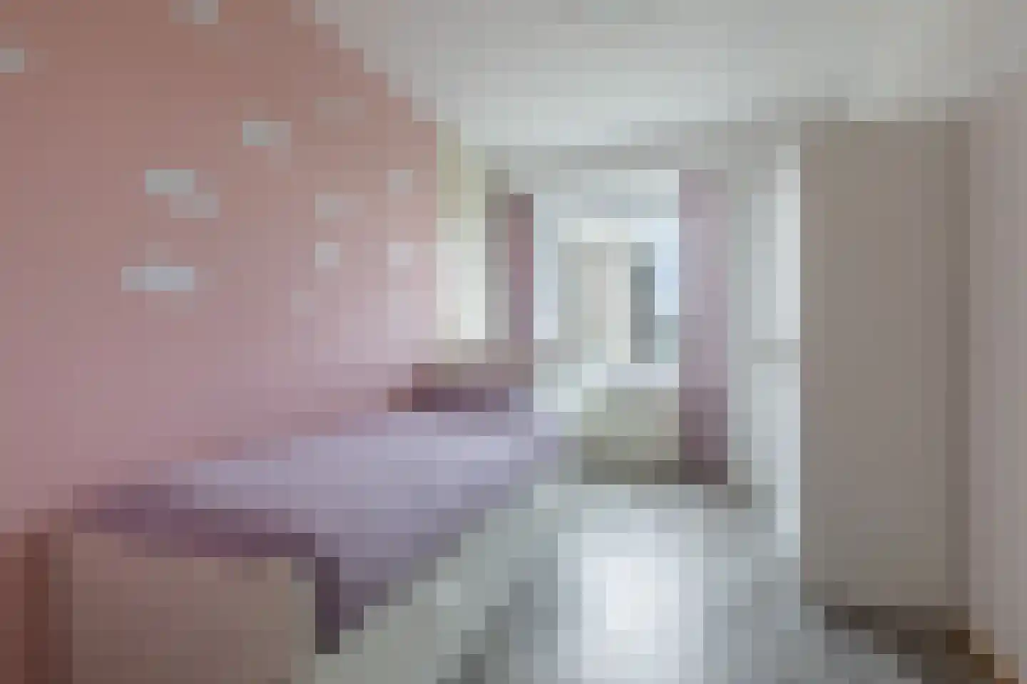 Ruimzicht 219 Amsterdam thumbnail 19