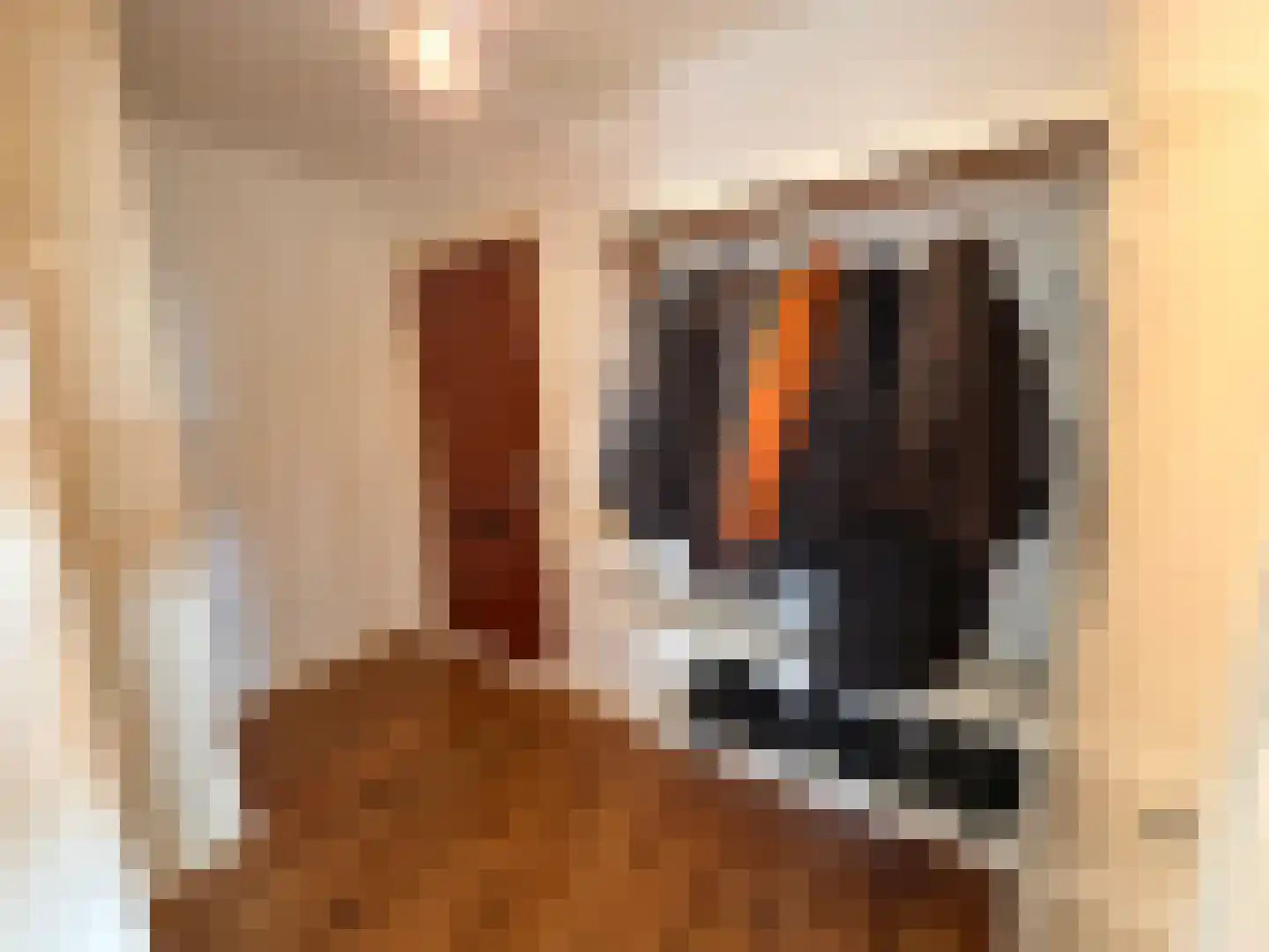Ruimzicht 219 Amsterdam thumbnail 20