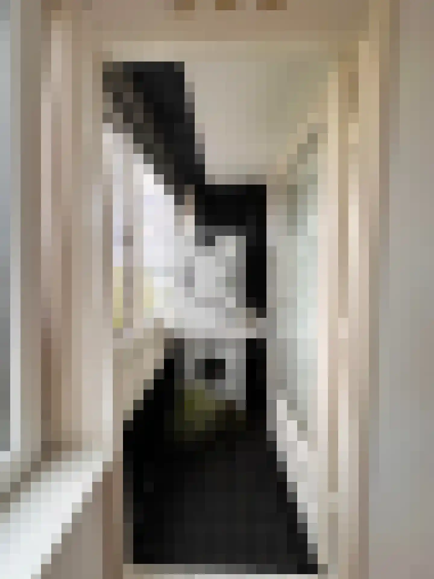Ruimzicht 219 Amsterdam thumbnail 21