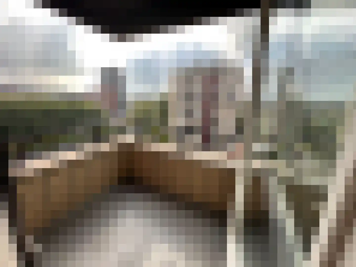 Ruimzicht 219 Amsterdam thumbnail 22