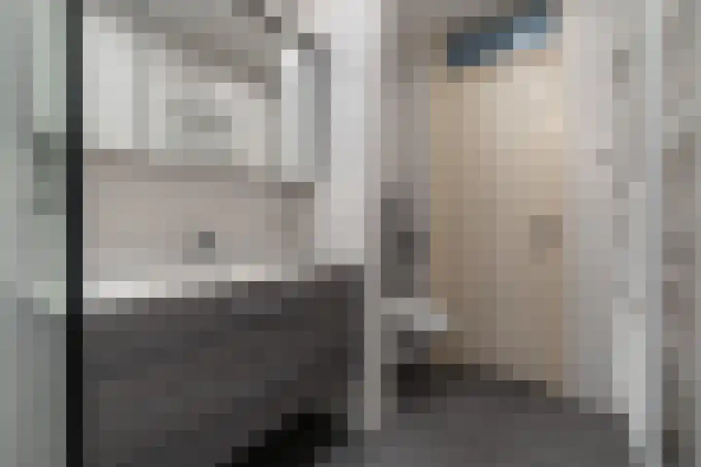 Ruimzicht 219 Amsterdam thumbnail 22