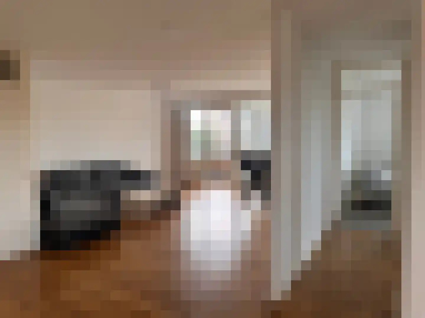 Ruimzicht 219 Amsterdam thumbnail 5