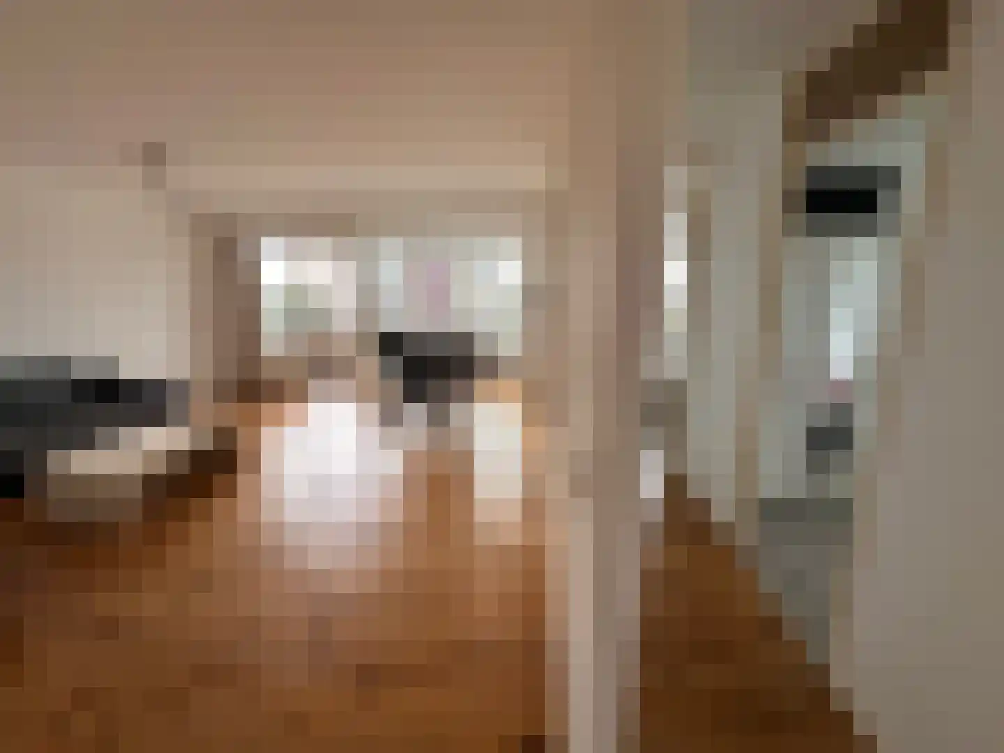Ruimzicht 219 Amsterdam thumbnail 6