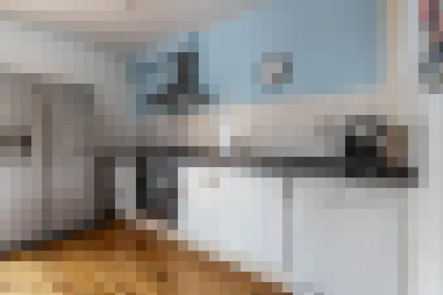 Ruimzicht 219 Amsterdam thumbnail 9