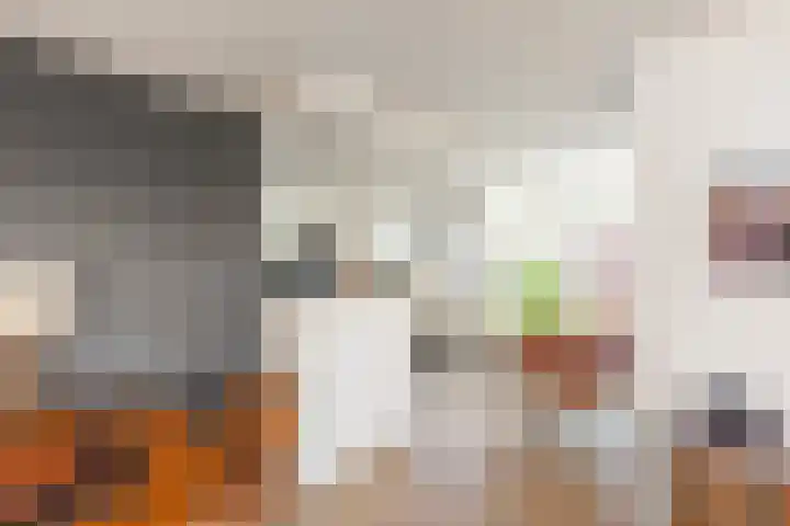 Ruimzicht 222 Amsterdam thumbnail 15