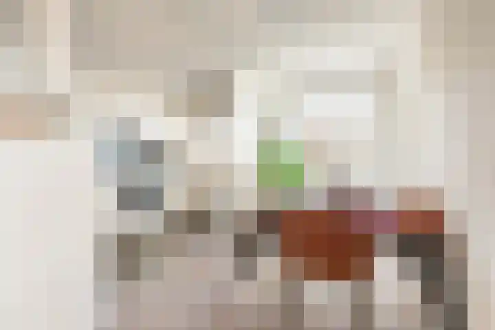 Ruimzicht 222 Amsterdam thumbnail 16