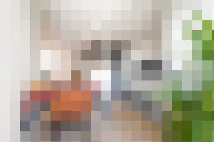Ruimzicht 222 Amsterdam thumbnail 17