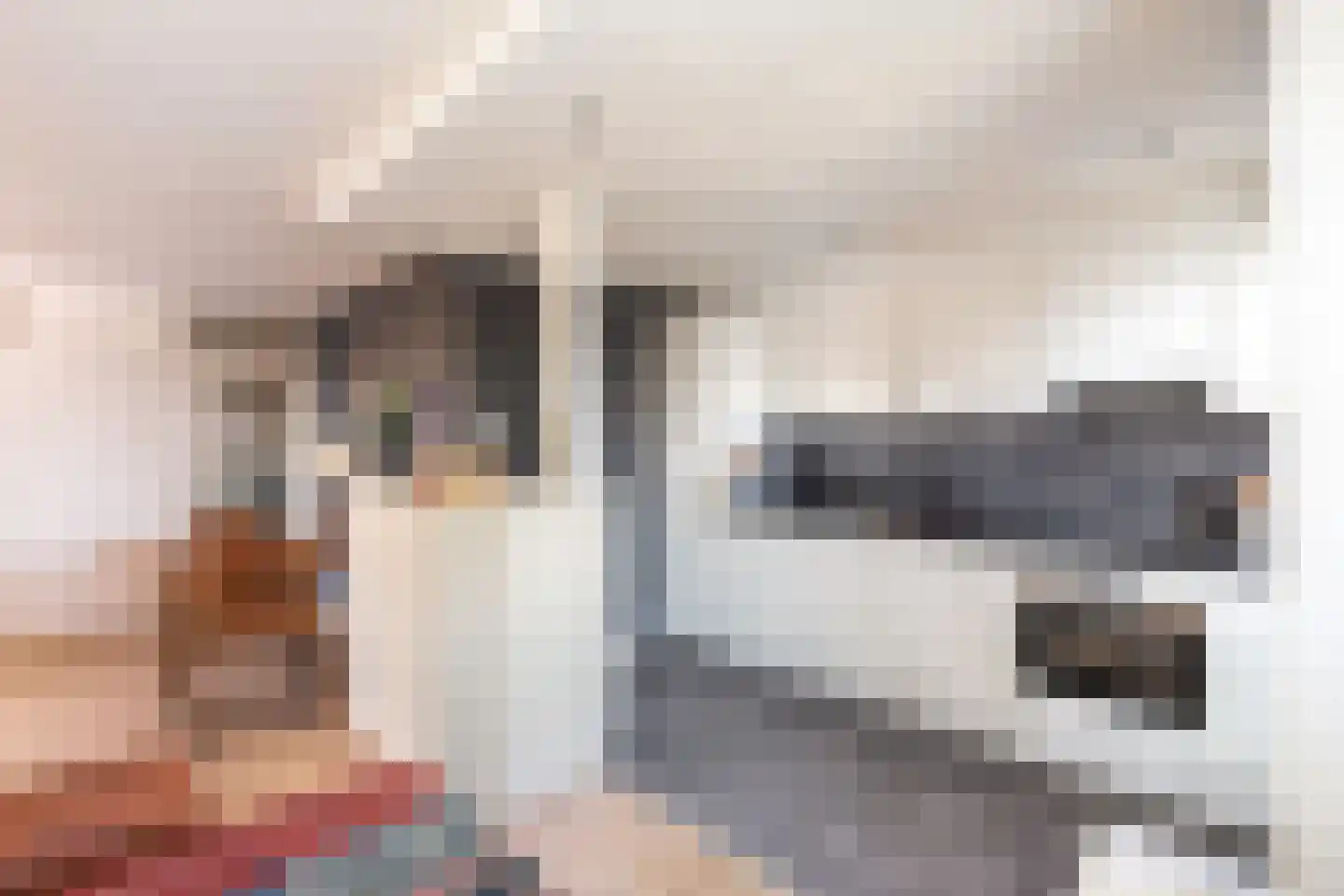 Ruimzicht 222 Amsterdam thumbnail 19
