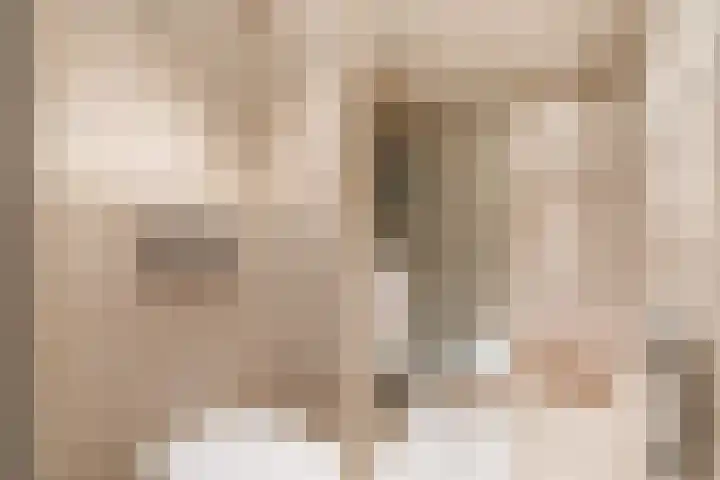 Ruimzicht 222 Amsterdam thumbnail 30