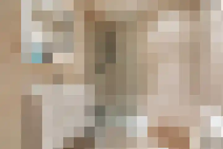 Ruimzicht 222 Amsterdam thumbnail 31