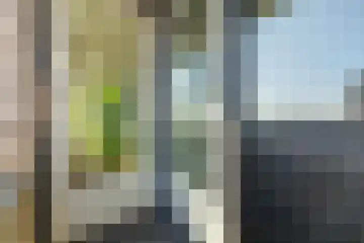 Ruimzicht 222 Amsterdam thumbnail 45