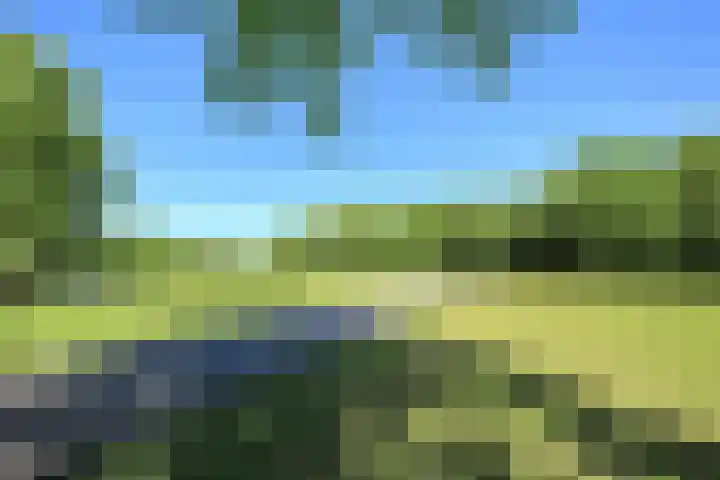 Ruimzicht 227 Amsterdam thumbnail 33