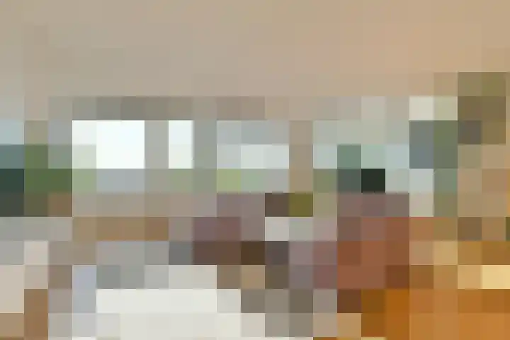 Ruimzicht 235 Amsterdam thumbnail 4