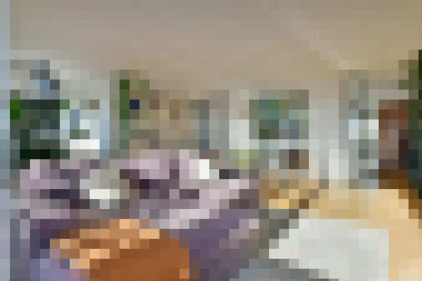 Ruimzicht 235 Amsterdam thumbnail 5