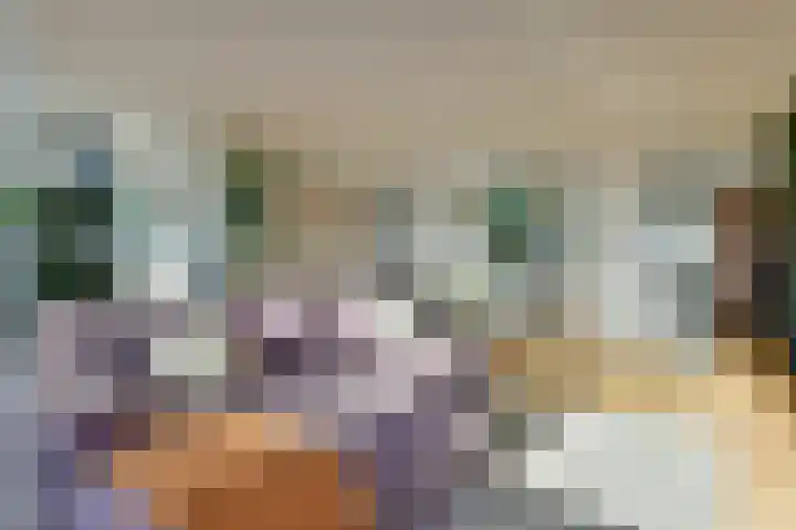 Ruimzicht 235 Amsterdam thumbnail 5