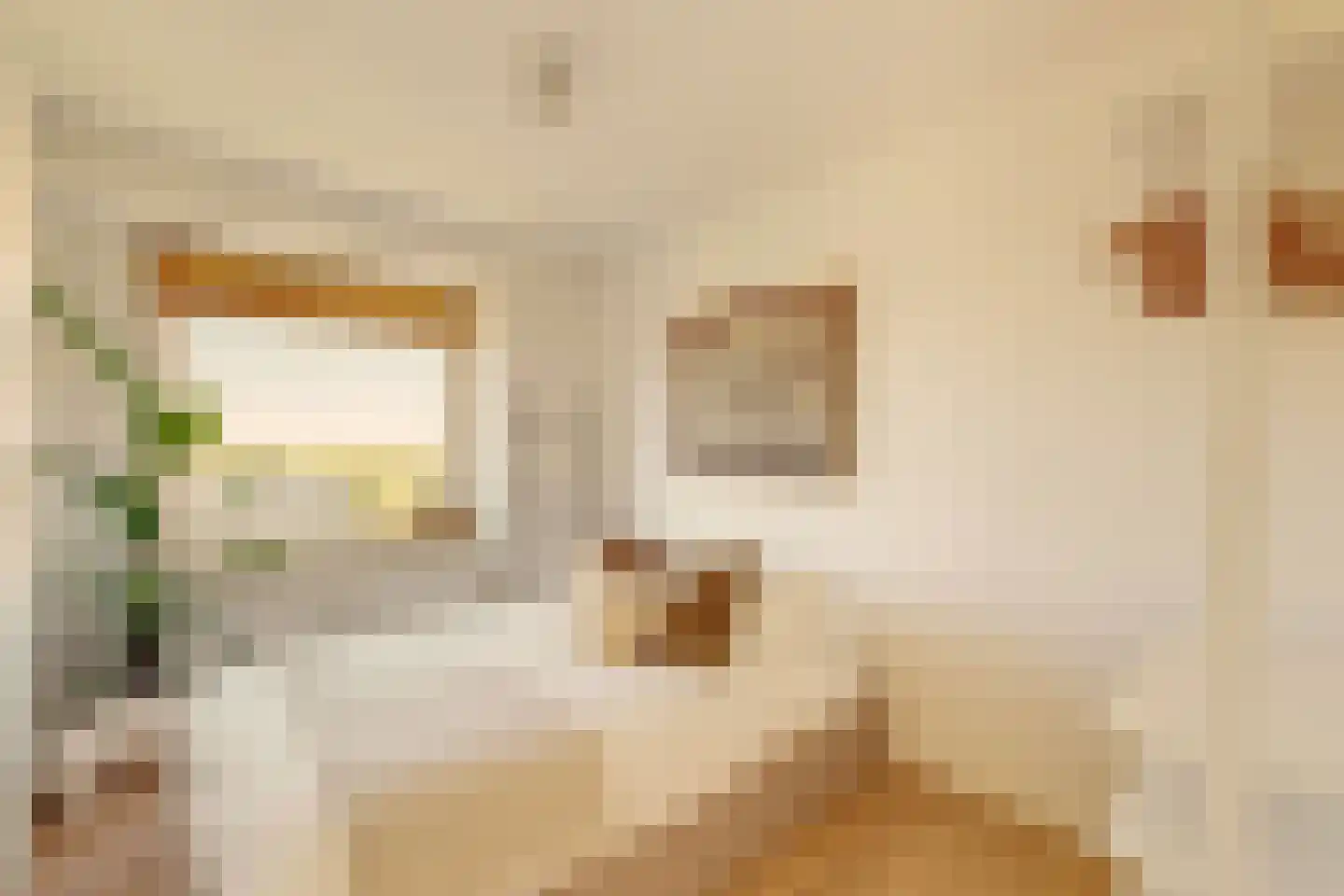 Ruimzicht 243 Amsterdam thumbnail 16