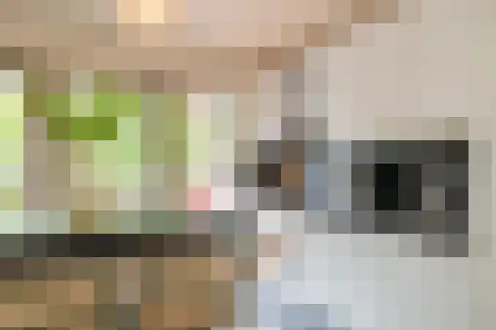 Ruimzicht 261 Amsterdam thumbnail 22