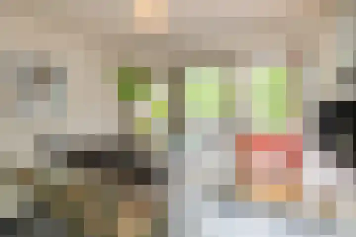 Ruimzicht 261 Amsterdam thumbnail 23