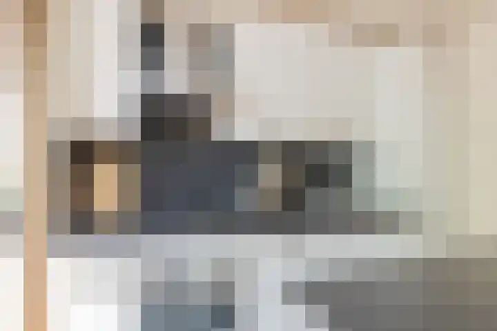 Ruimzicht 261 Amsterdam thumbnail 24