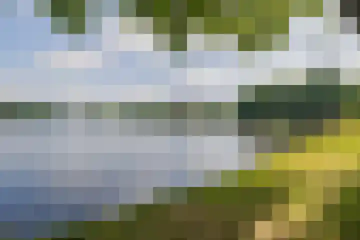 Ruimzicht 261 Amsterdam thumbnail 36