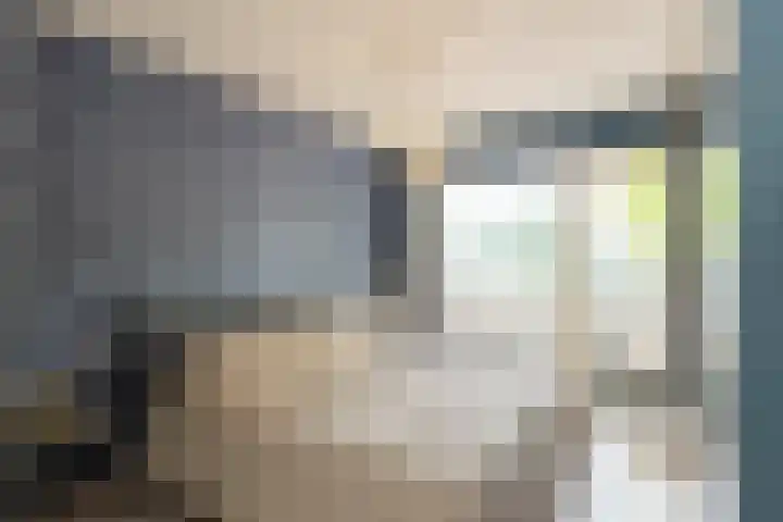 Ruimzicht 261 Amsterdam thumbnail 4